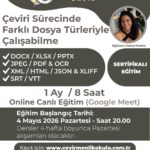 Çeviri sürecinde farklı dosya türleriyle çalışabilme