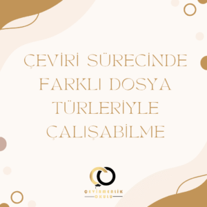 Çeviri sürecinde farklı dosya türleriyle çalışabilme kapak
